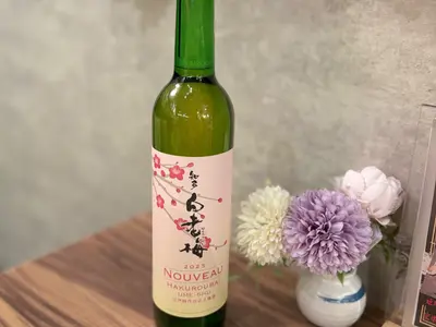 Bai Lao Mei Wine 500ml